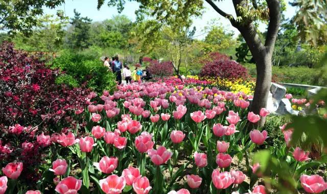 4月18日，扬州人自己的节日！